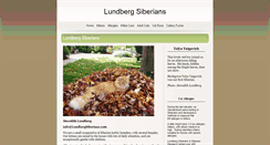 Desktop Screenshot of lundbergsiberians.com